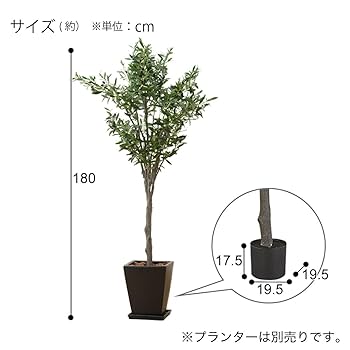 フェイクグリーン　大型　180cm 人工観葉植物 インテリア ニトリ Amazon｜ニトリ フェイクグリーン オリーブツリー OS1807-6-1788